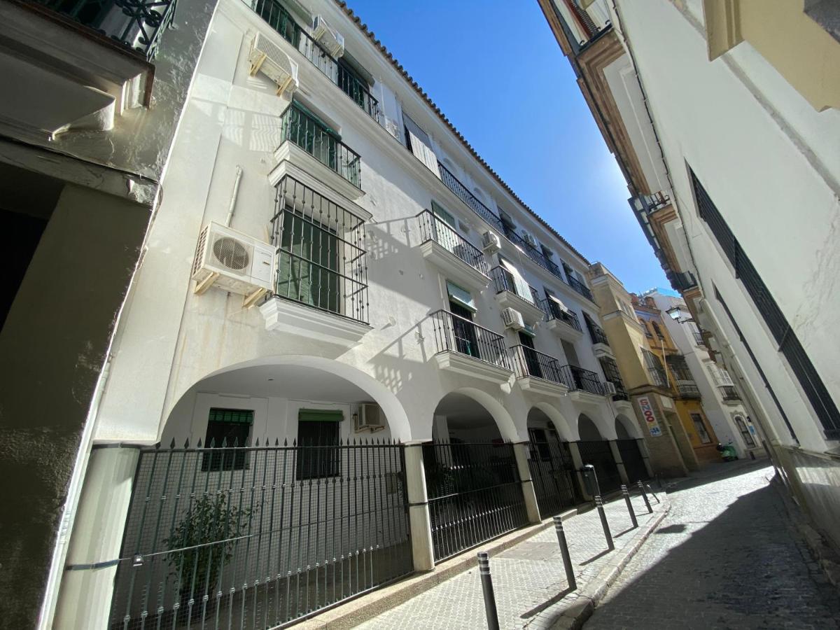 Magic Point * Sevilla